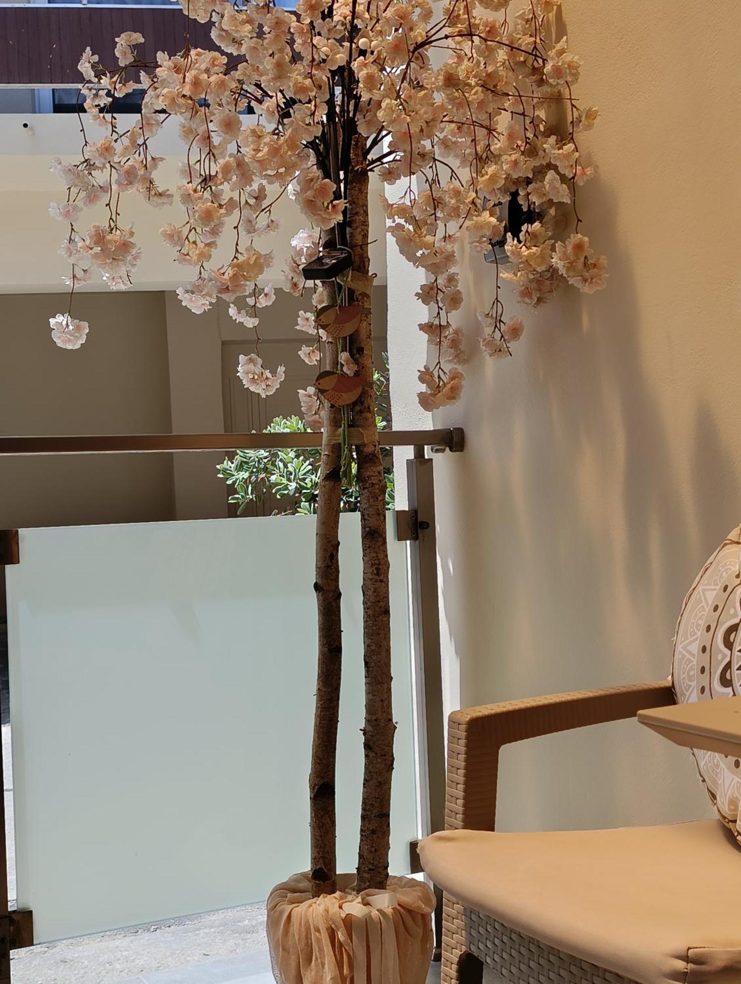 Apolafsi Apartments 2 New With Kitchen 干尼亞 外观 照片